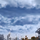 502157273
