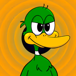255