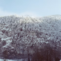 Swiss Dream #2
