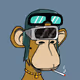 Boring Apes #3895