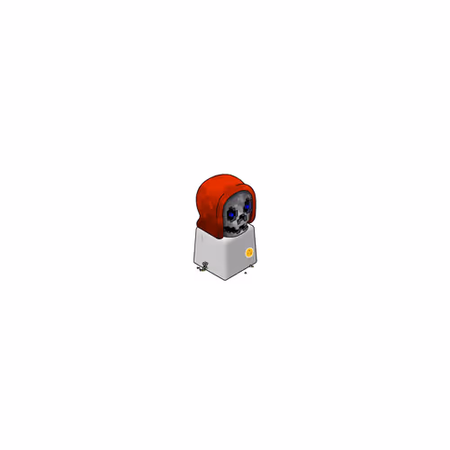 Item #39 Media