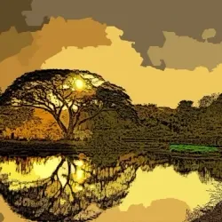 Nature #244
