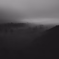 #3 The Lonely Tree