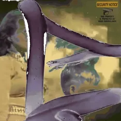 Anomaly #969
