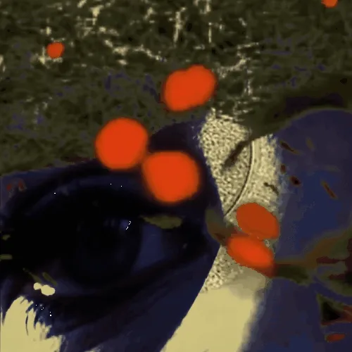 Anomaly #346