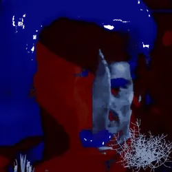 Anomaly #1810