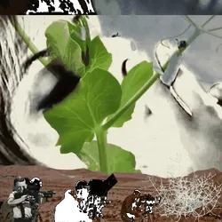 Anomaly #2989