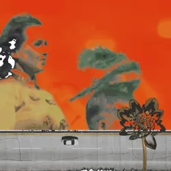 Anomaly #2514
