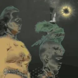 Anomaly #66