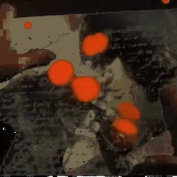 Anomaly #479