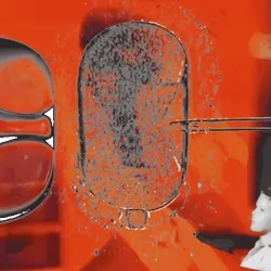 Anomaly #399