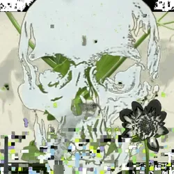 Anomaly #2990