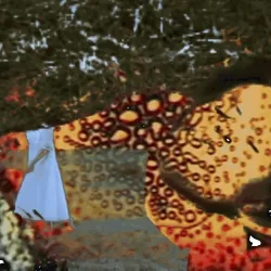 Anomaly #2984