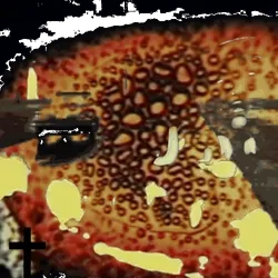 Anomaly #2652