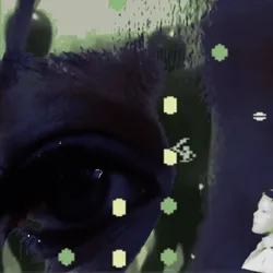 Anomaly #2769