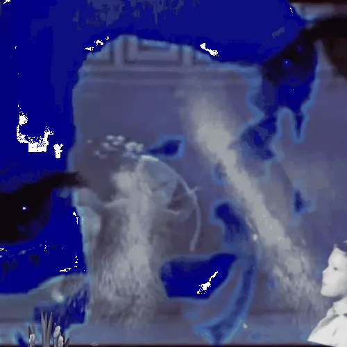 Anomaly #104