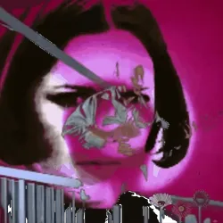 Anomaly #2347