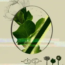 Anomaly #2906