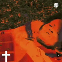 Anomaly #44