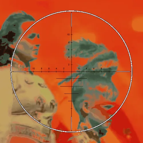 Anomaly #244