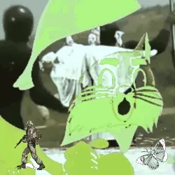 Anomaly #29