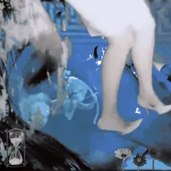 Anomaly #2338