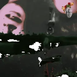 Anomaly #726