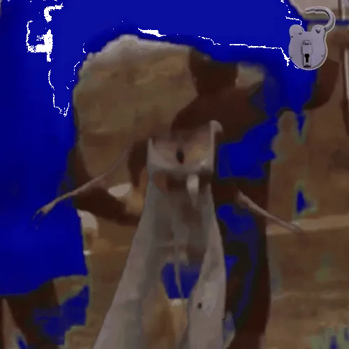 Anomaly #320