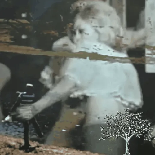 Anomalyproj