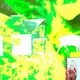 1615