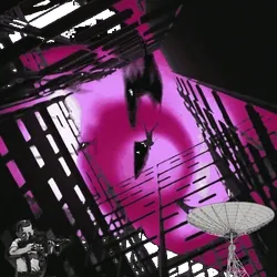 Anomaly #2770