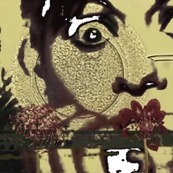 Anomaly #1414