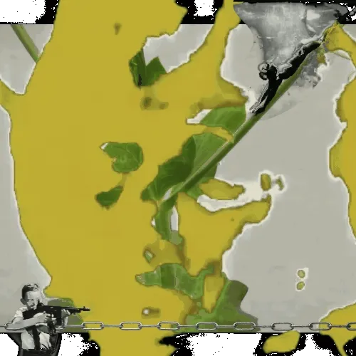Anomaly #335