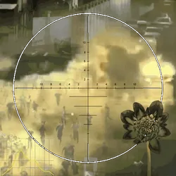 Anomaly #2223