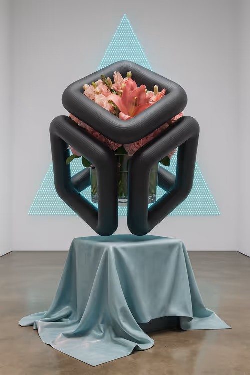 Item #12 Media