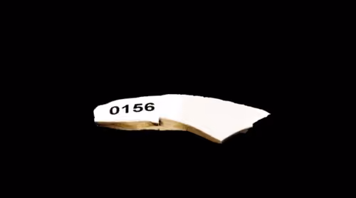 FNTN // 156
