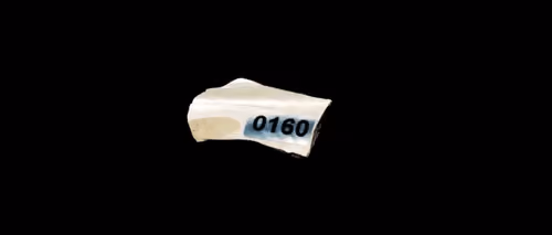 FNTN // 160