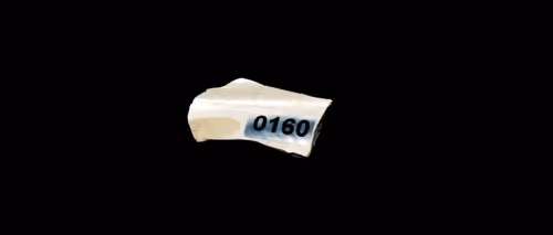FNTN // 160