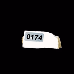 FNTN // 174
