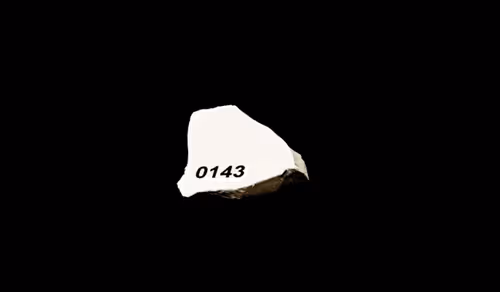 FNTN // 143