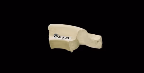 Item #1355 Media