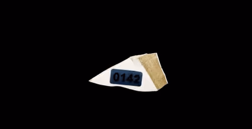 FNTN // 142