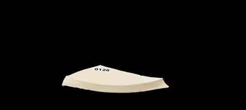 FNTN // 126
