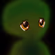 1458