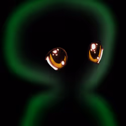 221