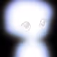 1321