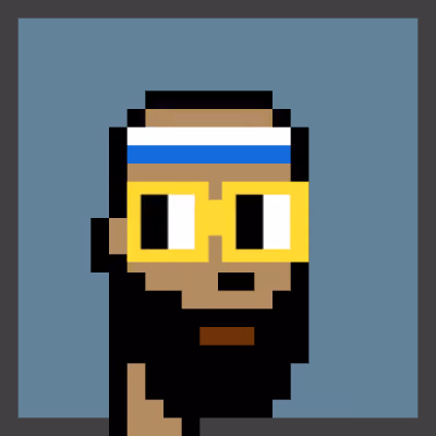 Crypto Noun Punks #333