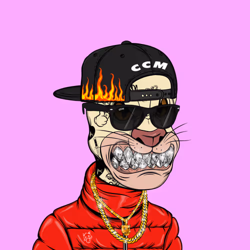 Cheekycatmafia