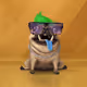 oDD BOi #20