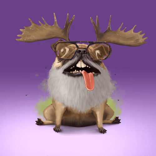 Odd Boi Official